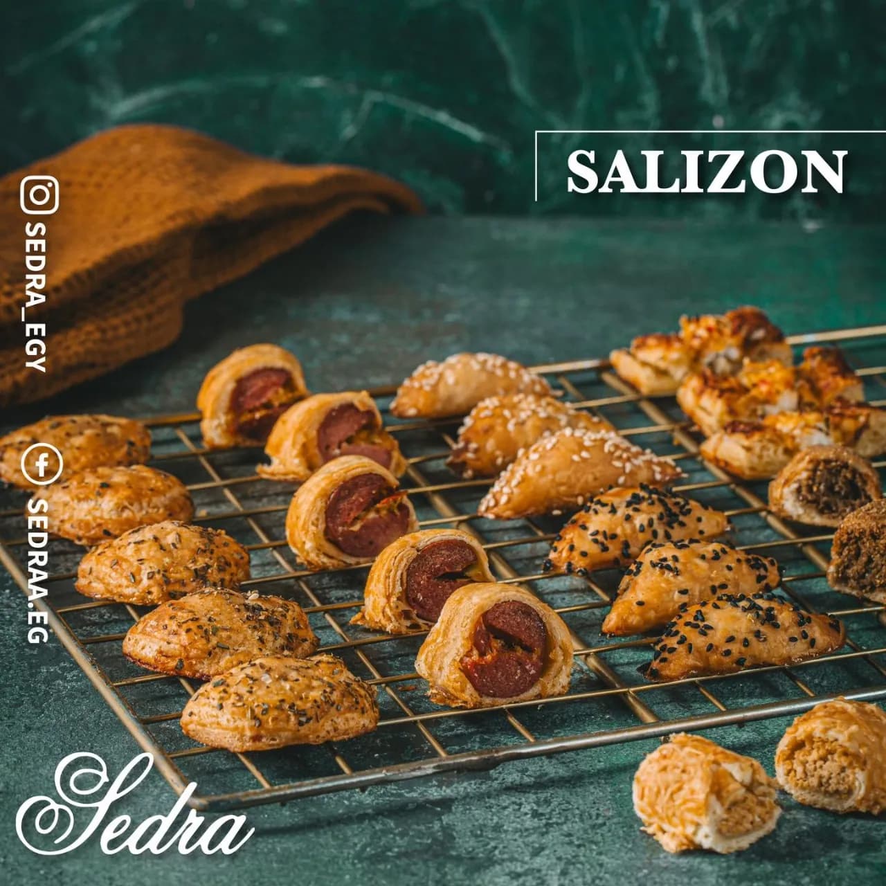 Salison