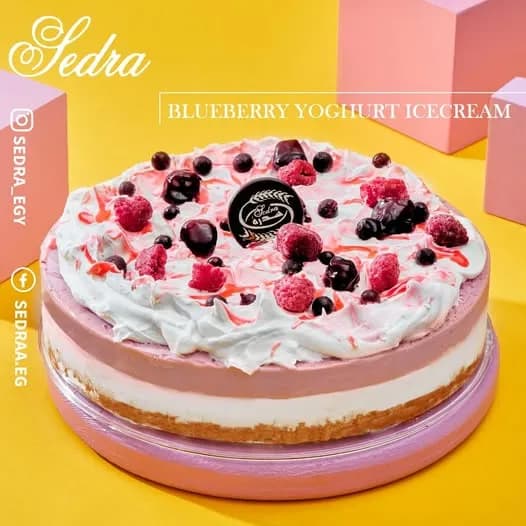Blueberry Yogurt Ice Cream Torte