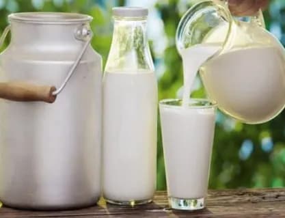 Buffalo Milk 1 Kg
