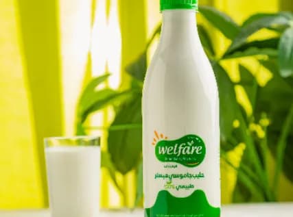 Pasteurized Buffalo Milk 1 Liter