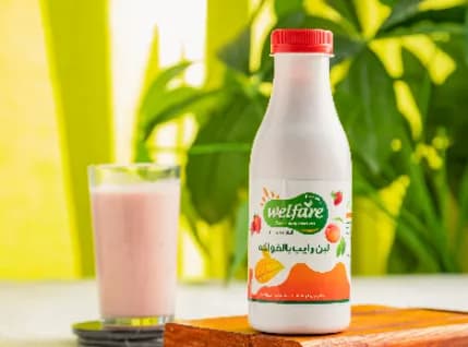 Rayeb Fruit Milk 500 Ml