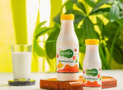 Rayeb Fruit Milk 250 Ml