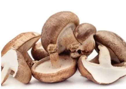 Mushroom