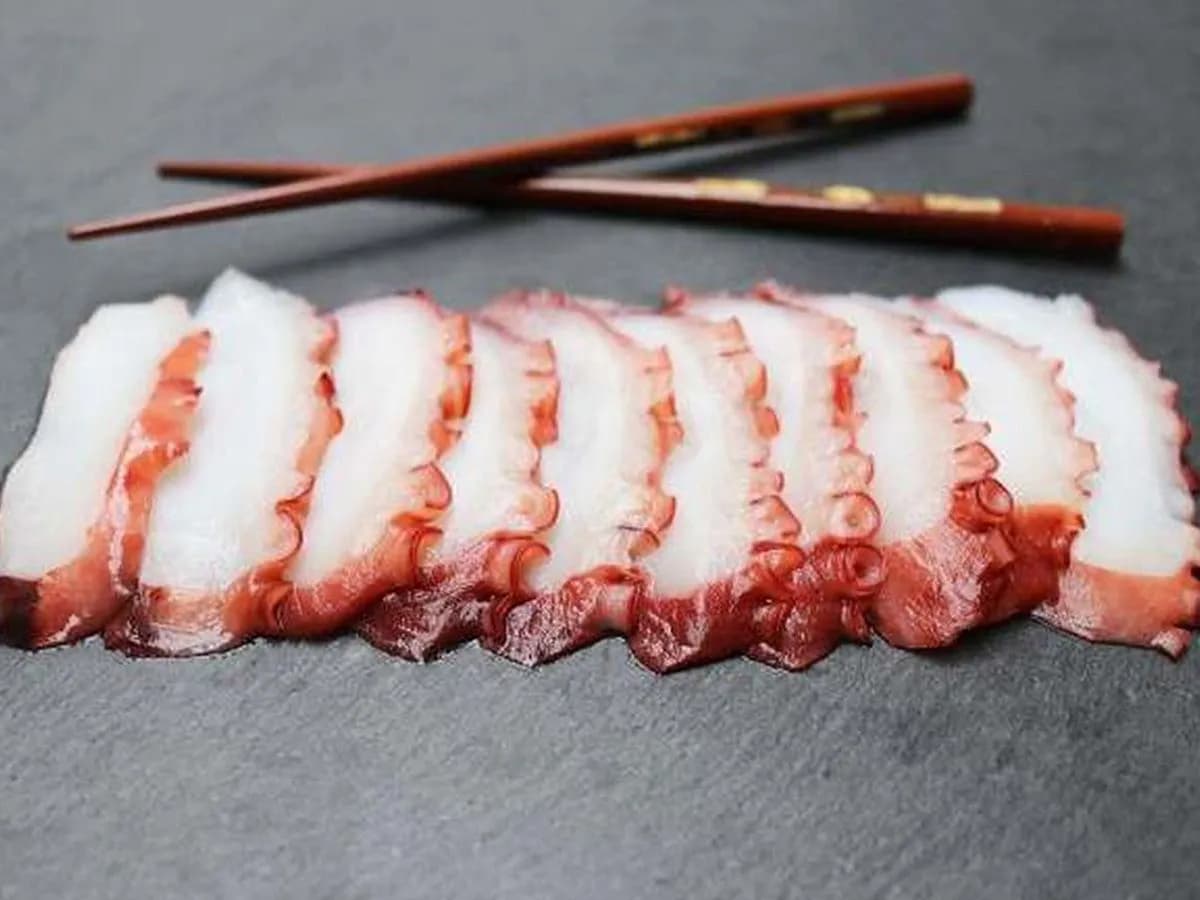 Octopus 