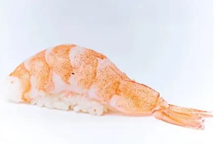 Shrimp