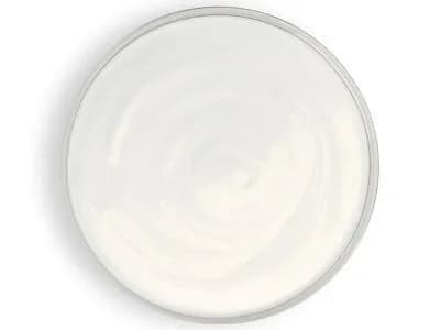 Bowl of Mayonnaise
