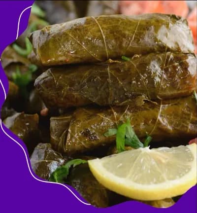 محشي ورق عنب ساده