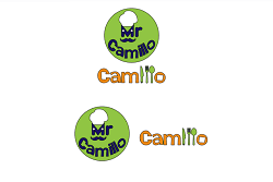 Mr Camillo