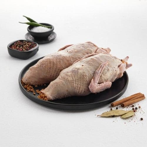 Pair Of Stuffed Pigeons