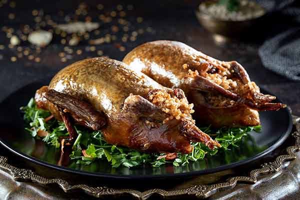 Grilled Pigeon