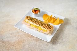 Turkey & Cheese Panini